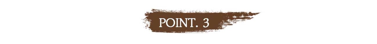 point3.jpeg