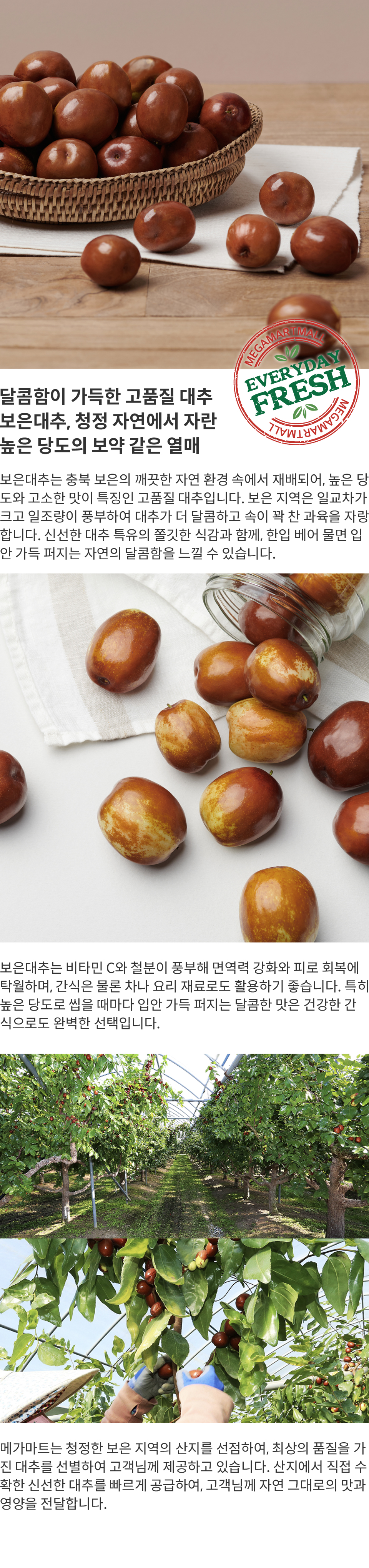 농산-대추4.jpg