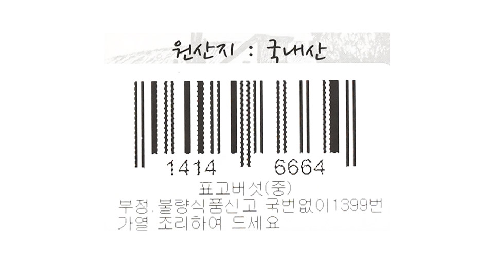 2516351113_014.jpg