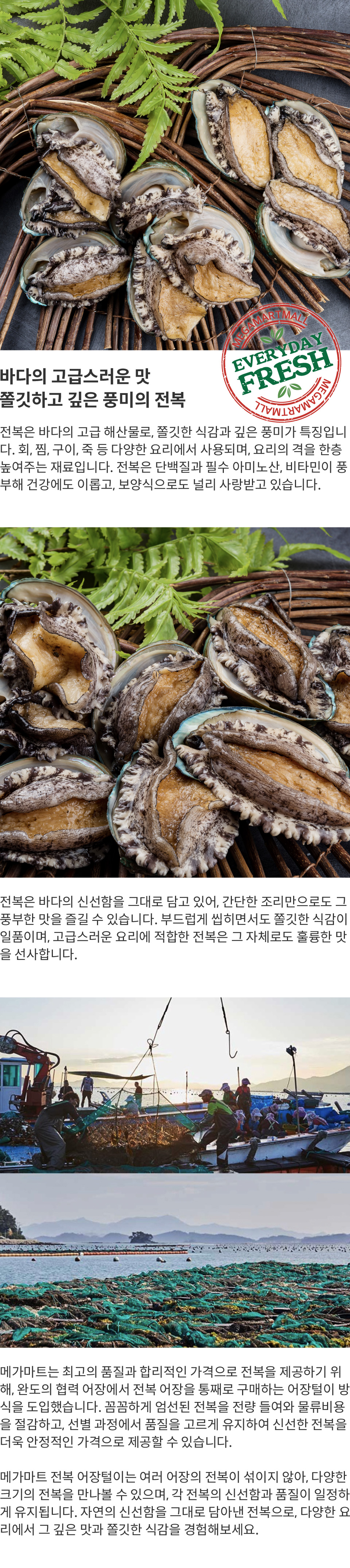 clam4.jpg