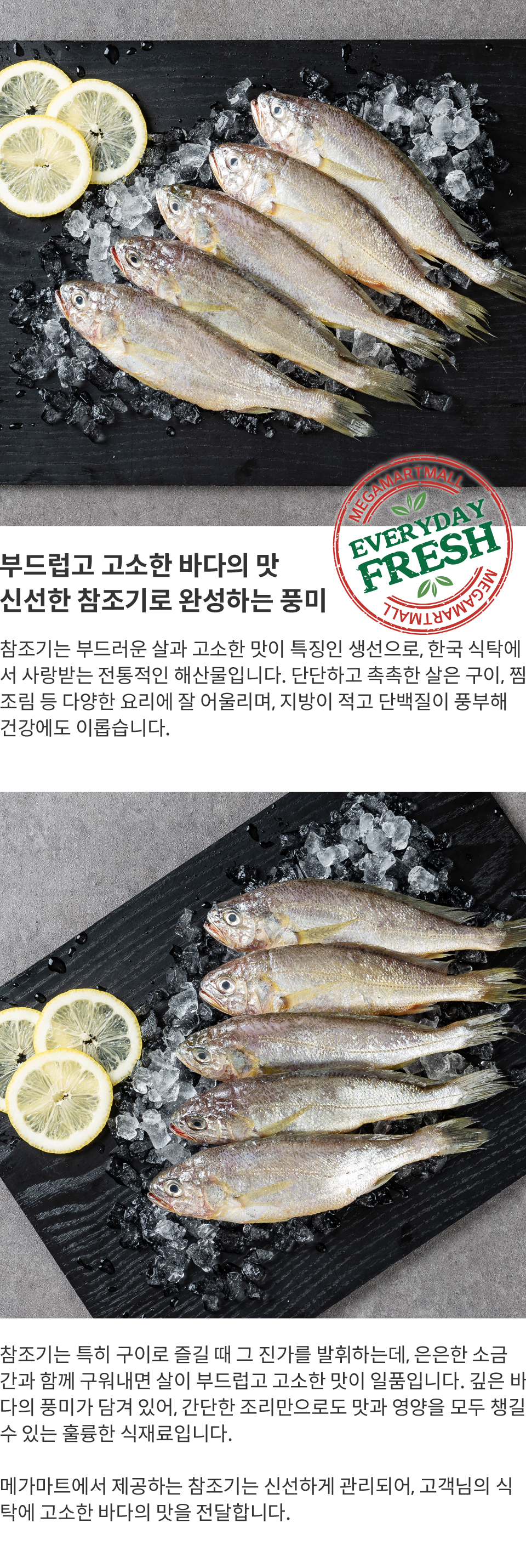 fish4.jpg