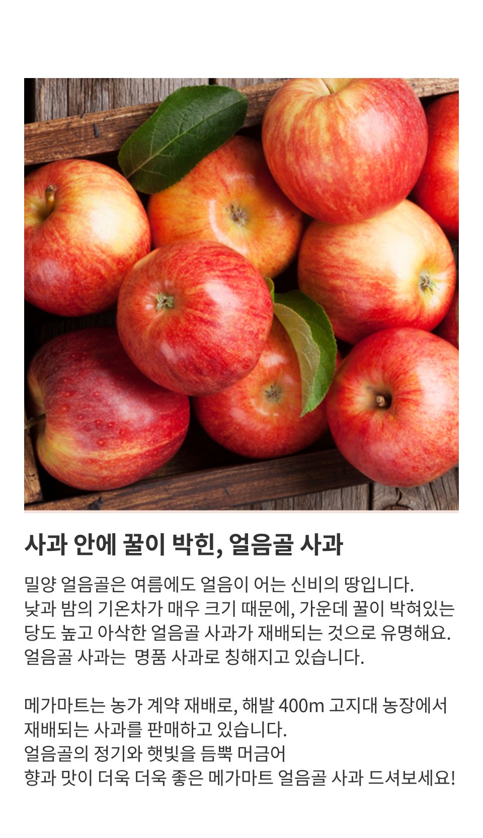 apple.jpg