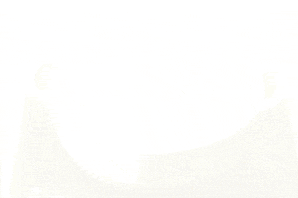 13410094_GIF.gif