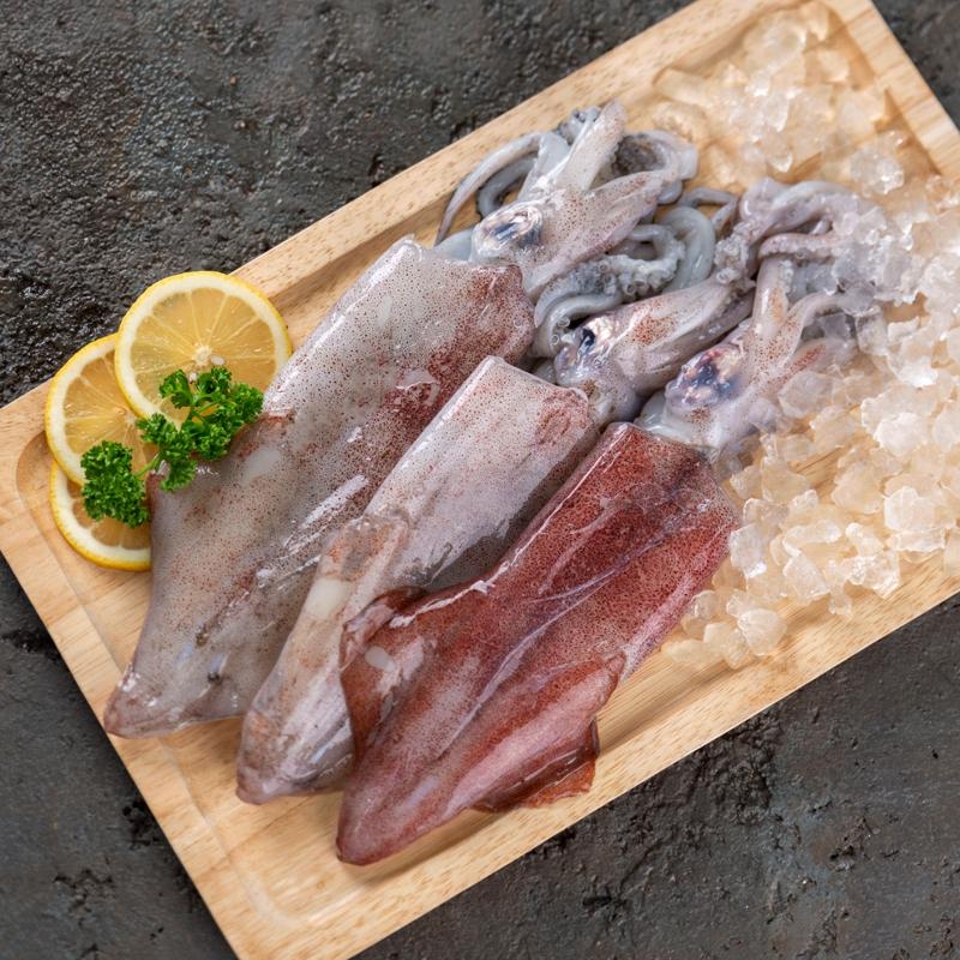 한치(대/해동) - 메가마트몰