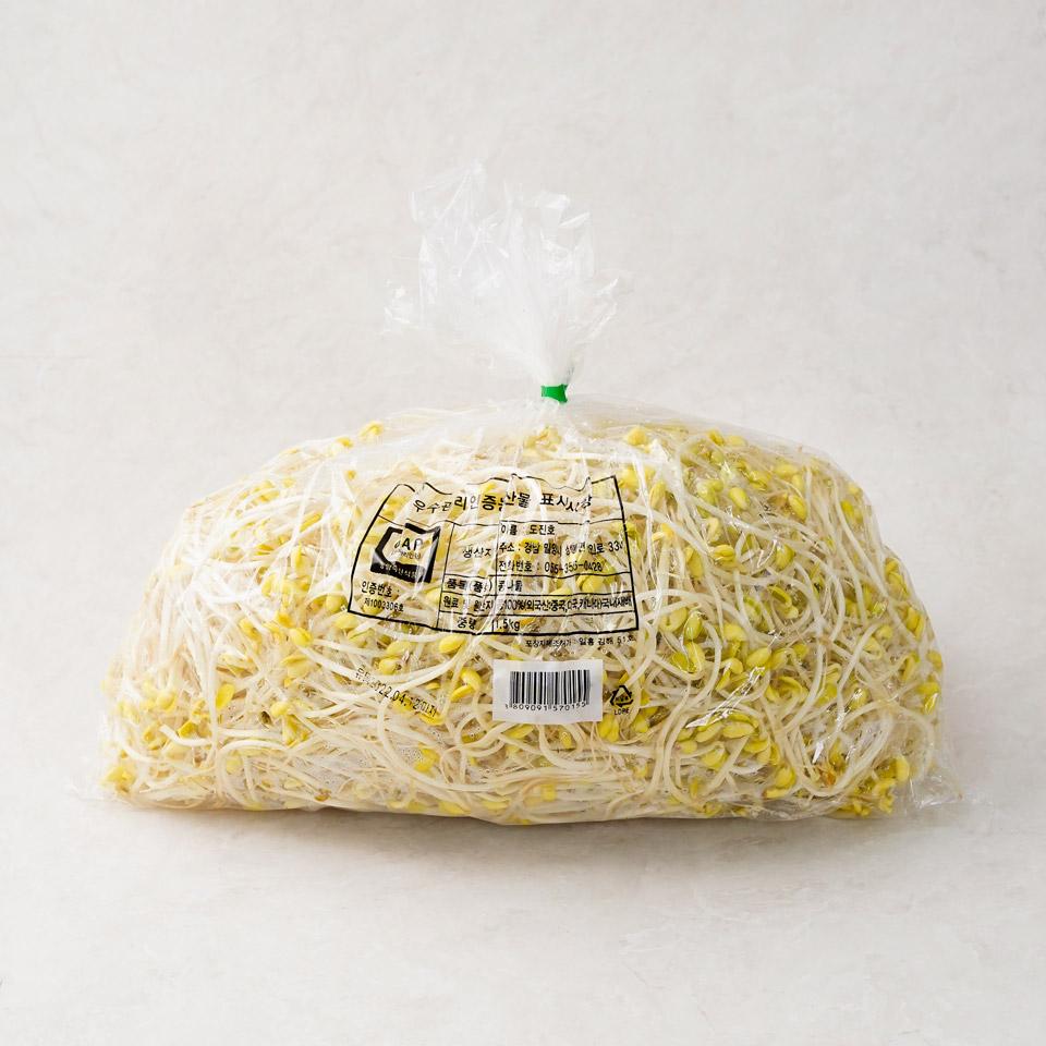 콩나물 대용량 1.5kg